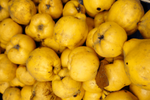 cidonijas veselībai