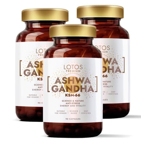 2+1 Ashwagandha KSM-66 N90