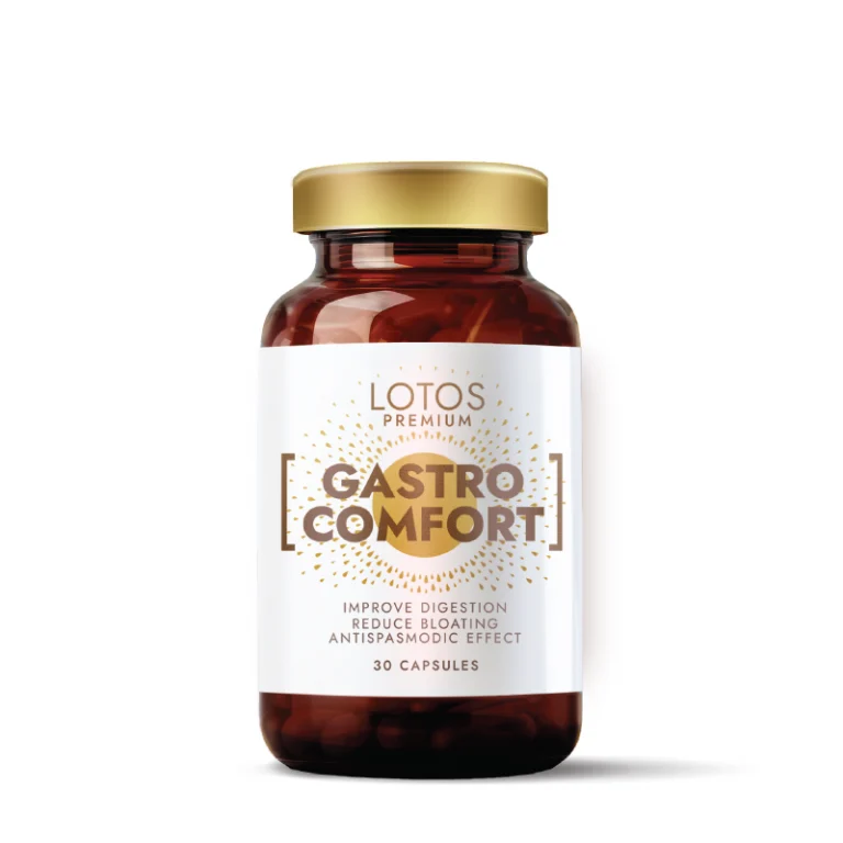 LOTOS-PREMIUM_Gastro-Comfort-N30