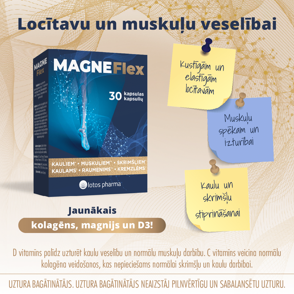 magneflex