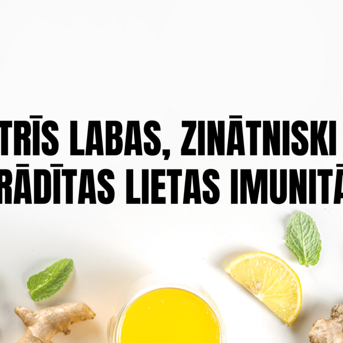 lotos premium