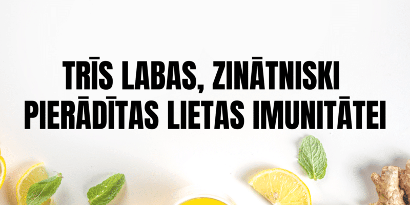 lotos premium