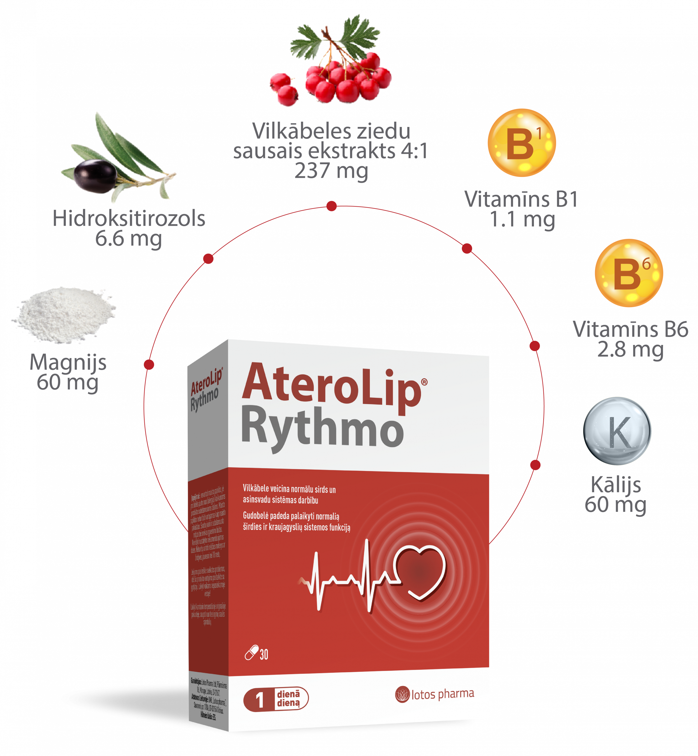 AteroLip Rythmo