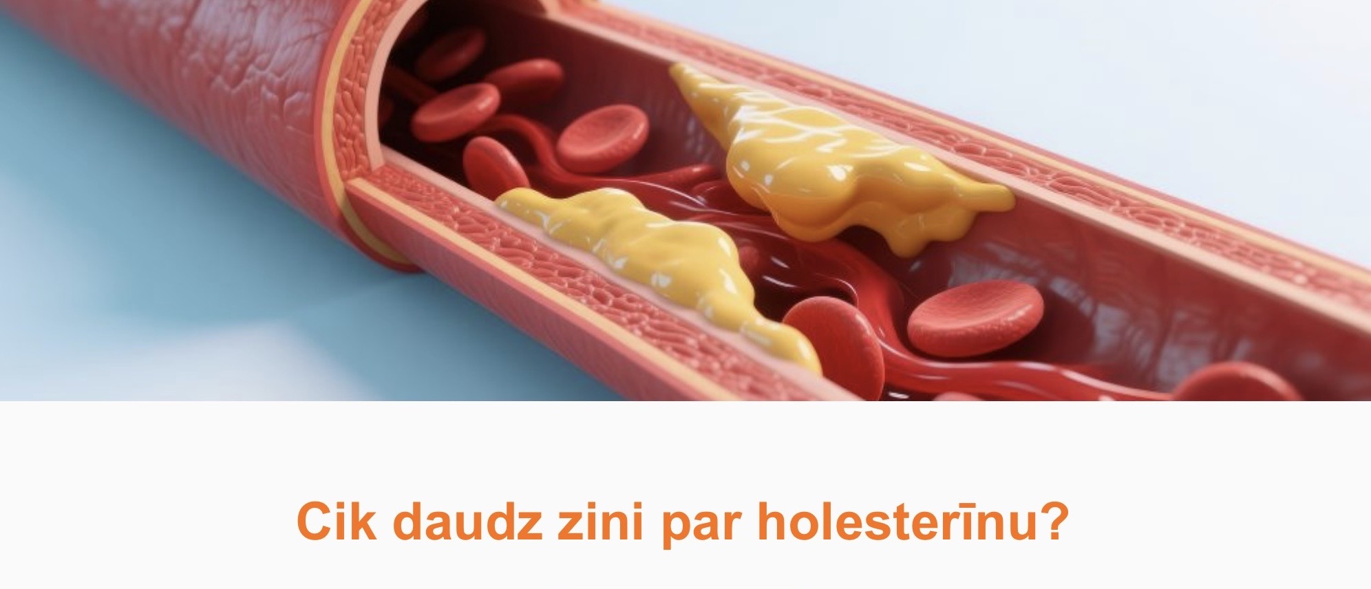 holesterīns